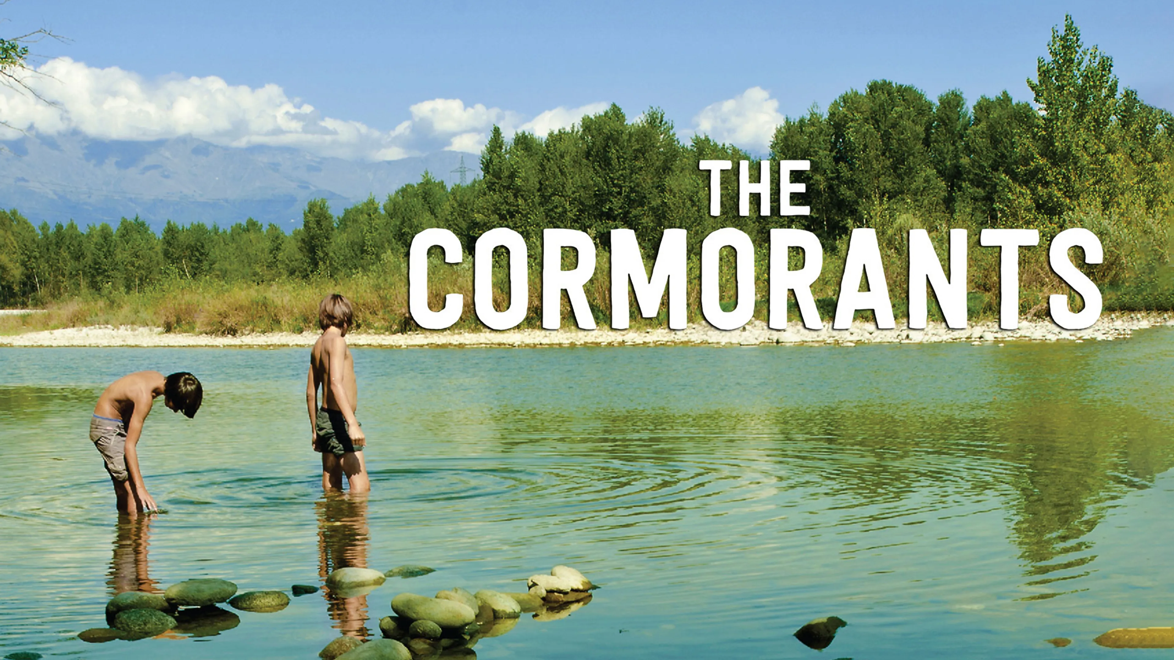 The Cormorants poster